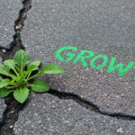 growth-plant-emerging-from-cracked-pavement